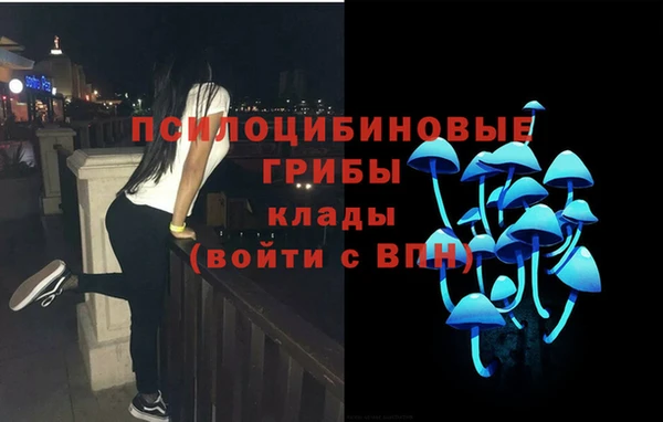 прущие крисы Белокуриха