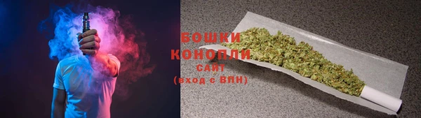 прущие крисы Белокуриха